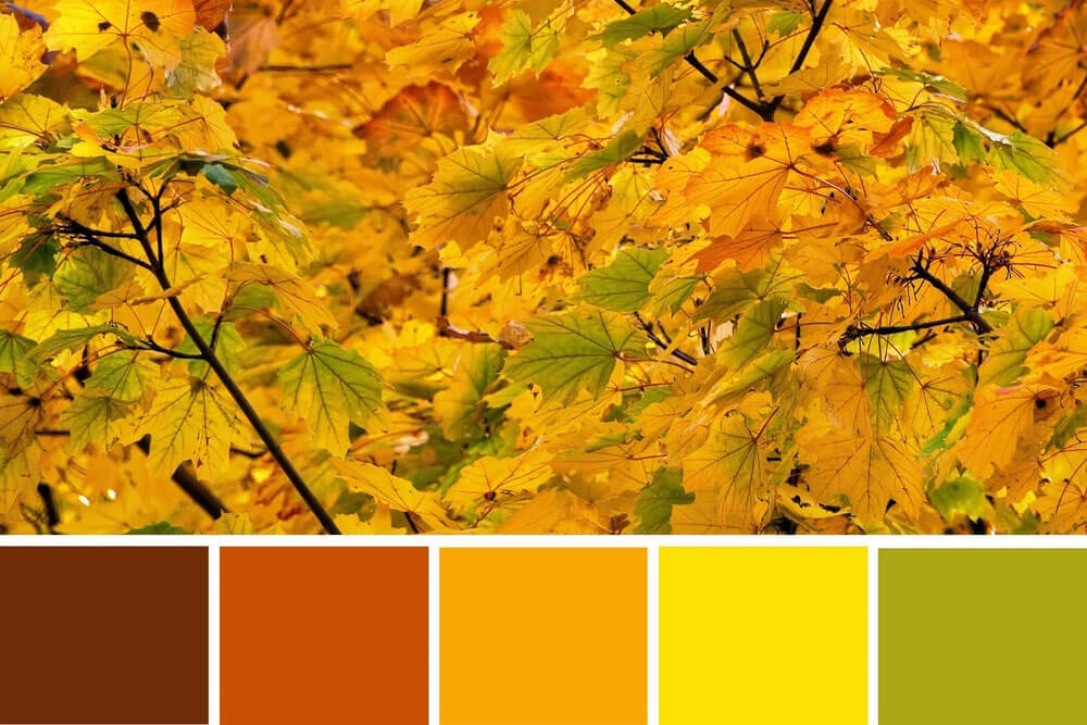 Yellow Fall Color Paint 🍂 Easy Autumn Yellow Leaves Painting For
